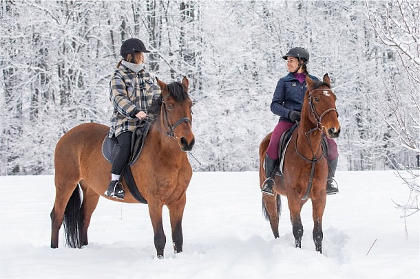 Лошади и пони: катания, экскурсии и квесты в Москве