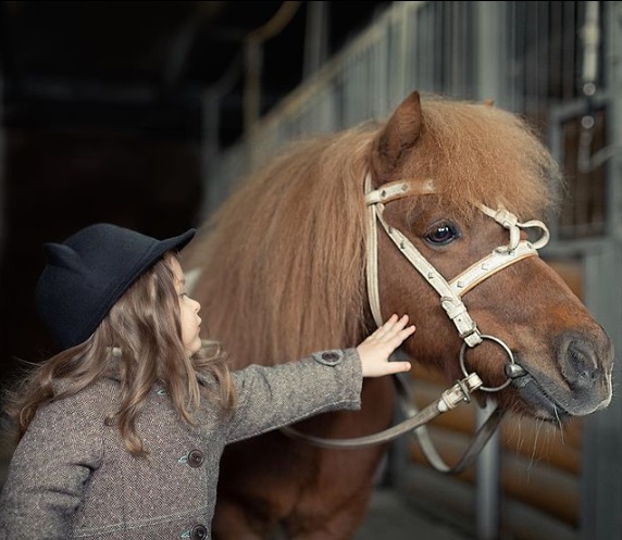 Фотоссесия с лошадьми в КСК Прованс (Битцевский лесопарк)